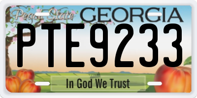 GA license plate PTE9233