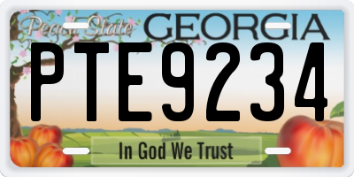 GA license plate PTE9234