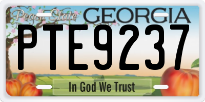 GA license plate PTE9237