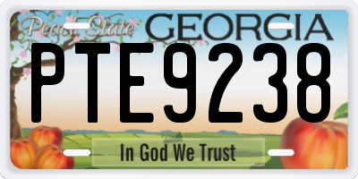 GA license plate PTE9238