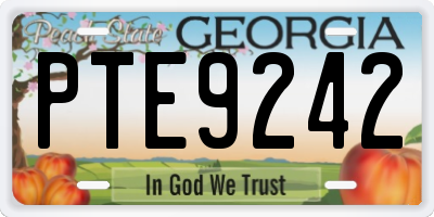 GA license plate PTE9242