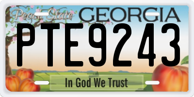 GA license plate PTE9243