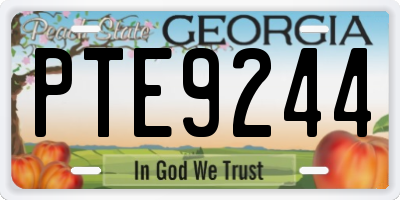 GA license plate PTE9244