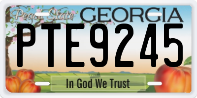 GA license plate PTE9245
