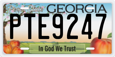 GA license plate PTE9247
