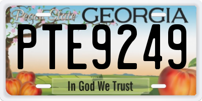 GA license plate PTE9249