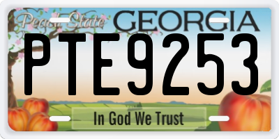 GA license plate PTE9253