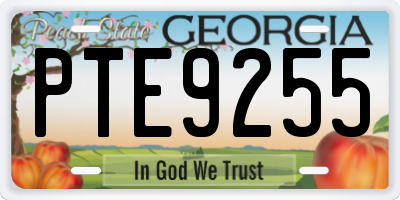 GA license plate PTE9255