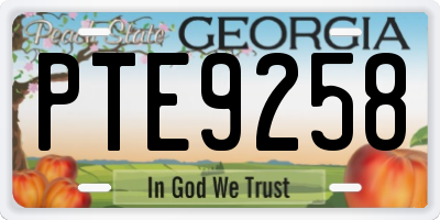 GA license plate PTE9258