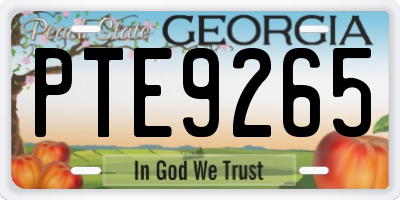 GA license plate PTE9265