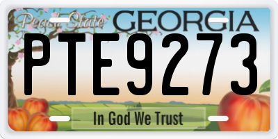 GA license plate PTE9273