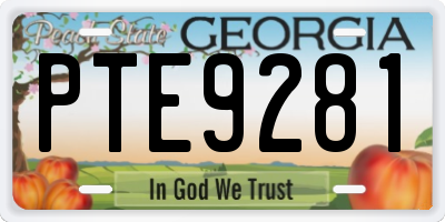 GA license plate PTE9281