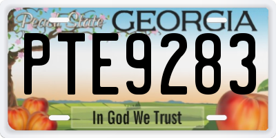 GA license plate PTE9283