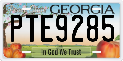 GA license plate PTE9285
