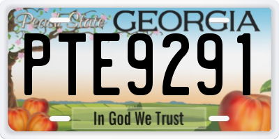 GA license plate PTE9291