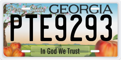 GA license plate PTE9293