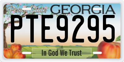 GA license plate PTE9295