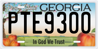 GA license plate PTE9300