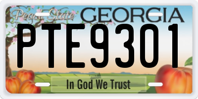 GA license plate PTE9301