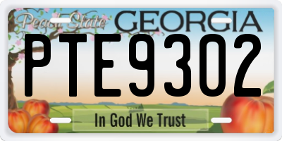 GA license plate PTE9302
