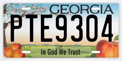 GA license plate PTE9304