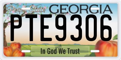 GA license plate PTE9306