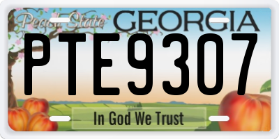 GA license plate PTE9307