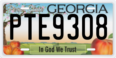 GA license plate PTE9308
