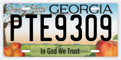 GA license plate PTE9309
