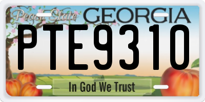 GA license plate PTE9310