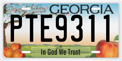GA license plate PTE9311
