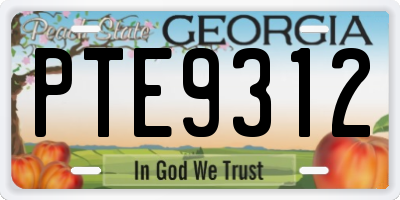 GA license plate PTE9312