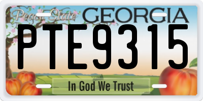 GA license plate PTE9315