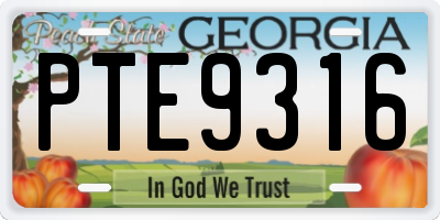 GA license plate PTE9316