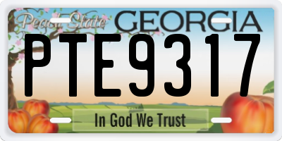 GA license plate PTE9317