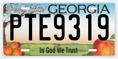 GA license plate PTE9319