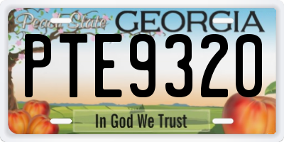 GA license plate PTE9320