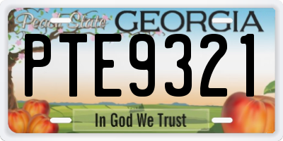 GA license plate PTE9321