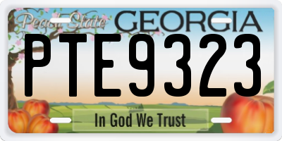 GA license plate PTE9323