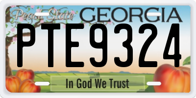 GA license plate PTE9324