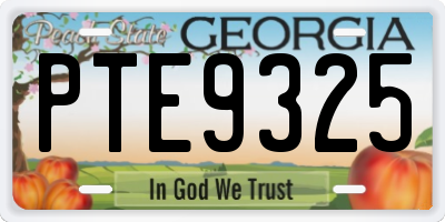 GA license plate PTE9325