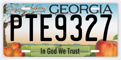 GA license plate PTE9327