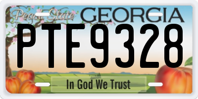 GA license plate PTE9328