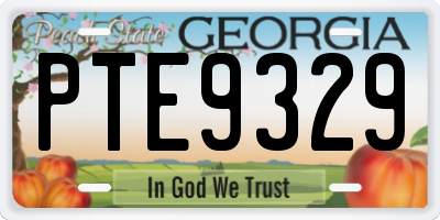 GA license plate PTE9329