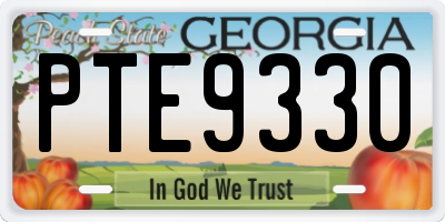 GA license plate PTE9330