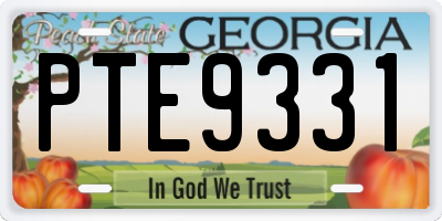 GA license plate PTE9331