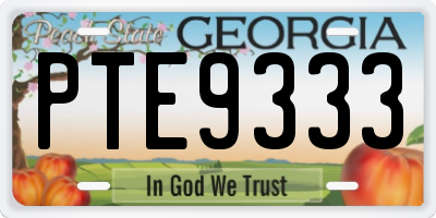 GA license plate PTE9333