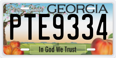 GA license plate PTE9334