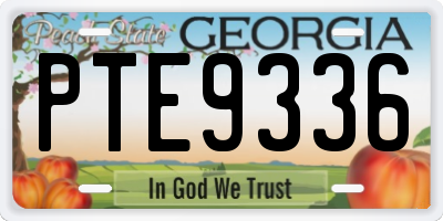 GA license plate PTE9336