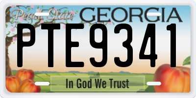 GA license plate PTE9341